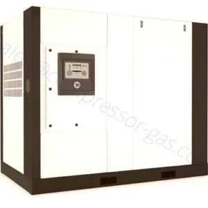 Two Stage Oil-Free Rotary Screw Compressors D-Series 37-75kW
